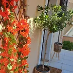 Corfu Maisonette House 度假居 Alepou